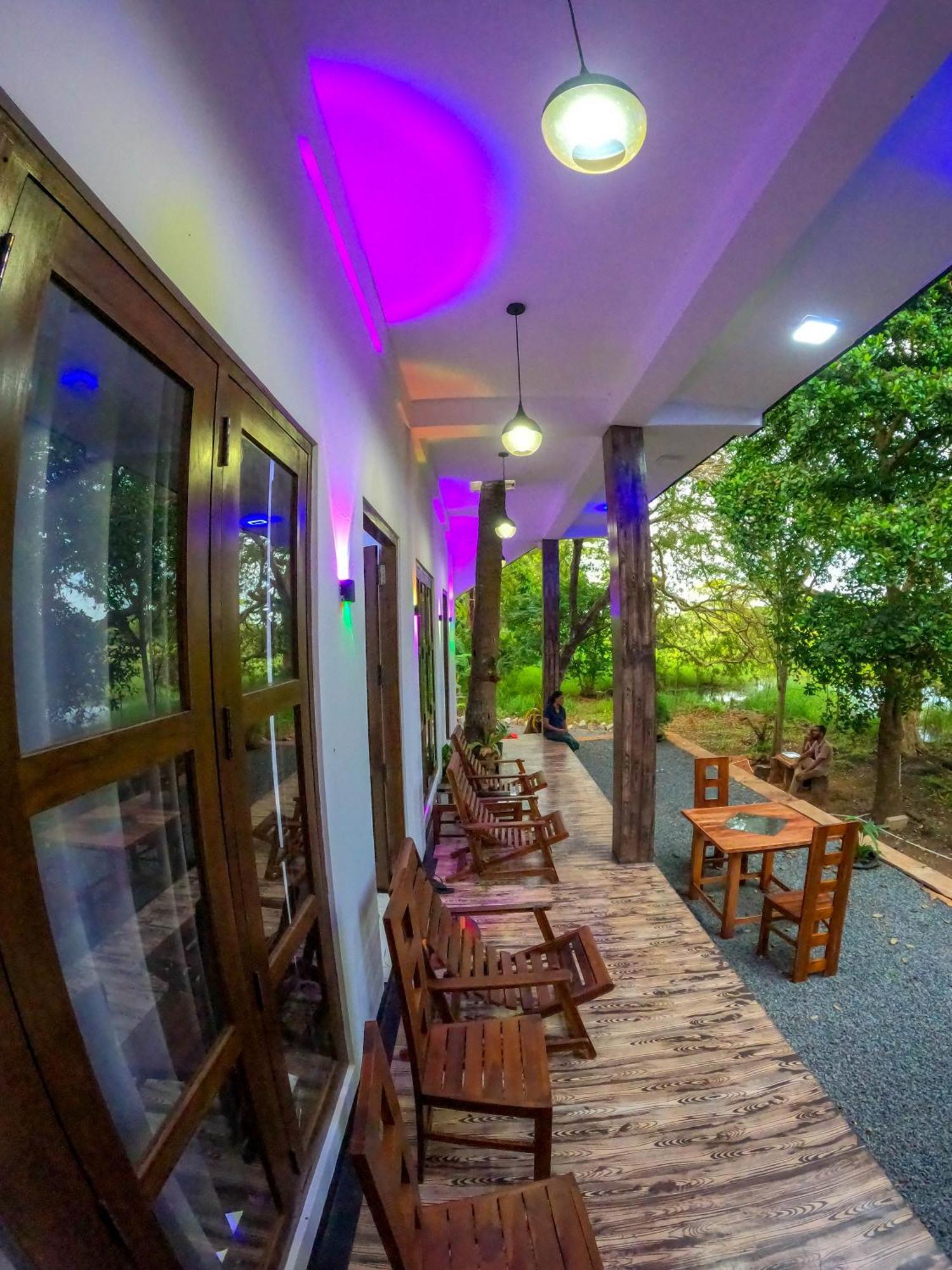 Nature Lotus Villa 丹不拉 外观 照片
