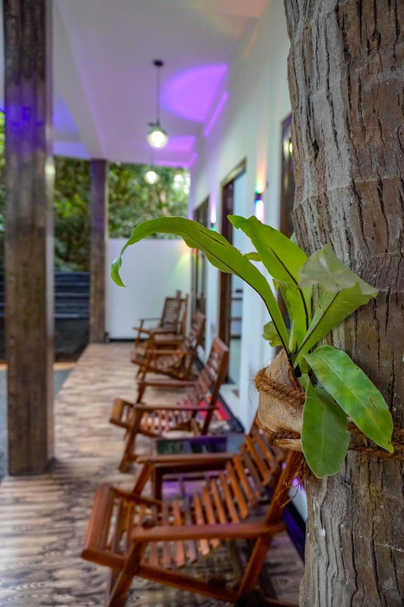 Nature Lotus Villa 丹不拉 外观 照片