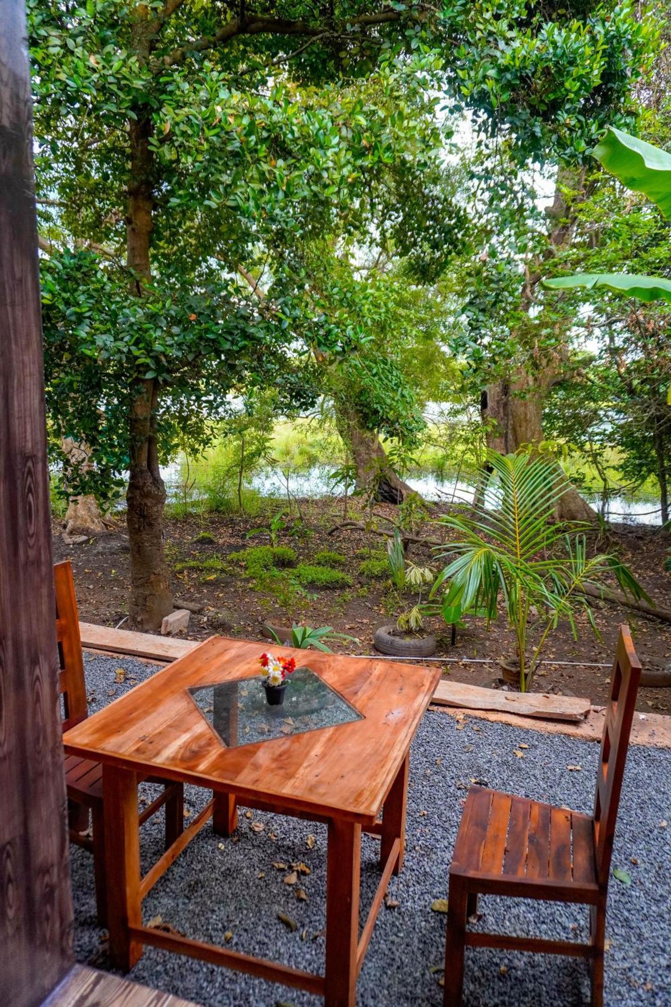 Nature Lotus Villa 丹不拉 外观 照片