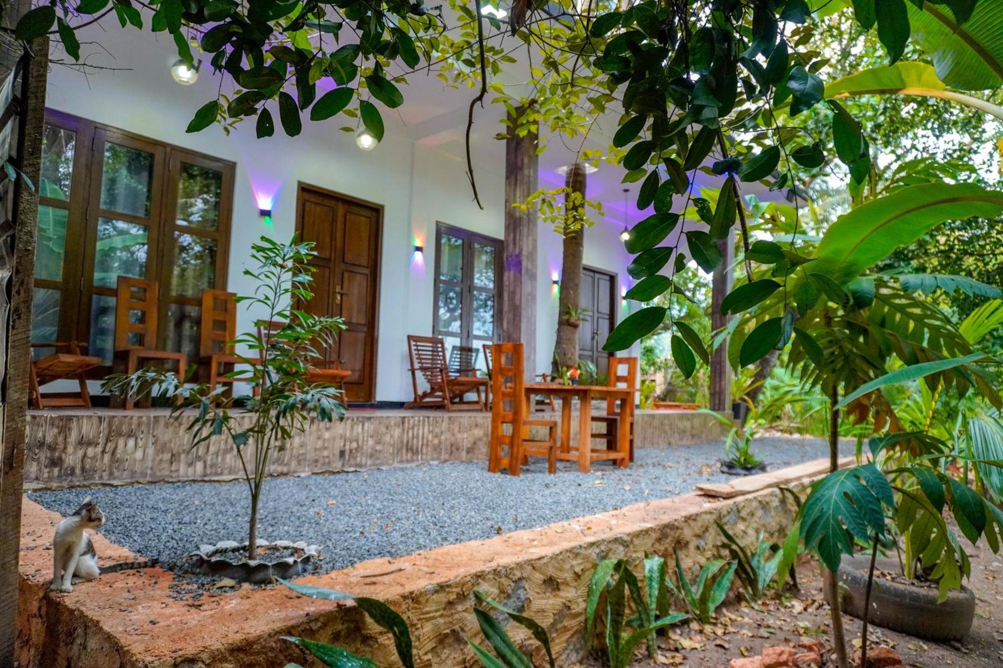 Nature Lotus Villa 丹不拉 外观 照片