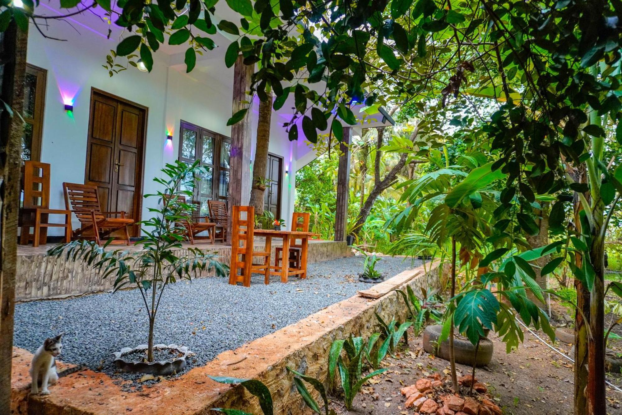 Nature Lotus Villa 丹不拉 外观 照片