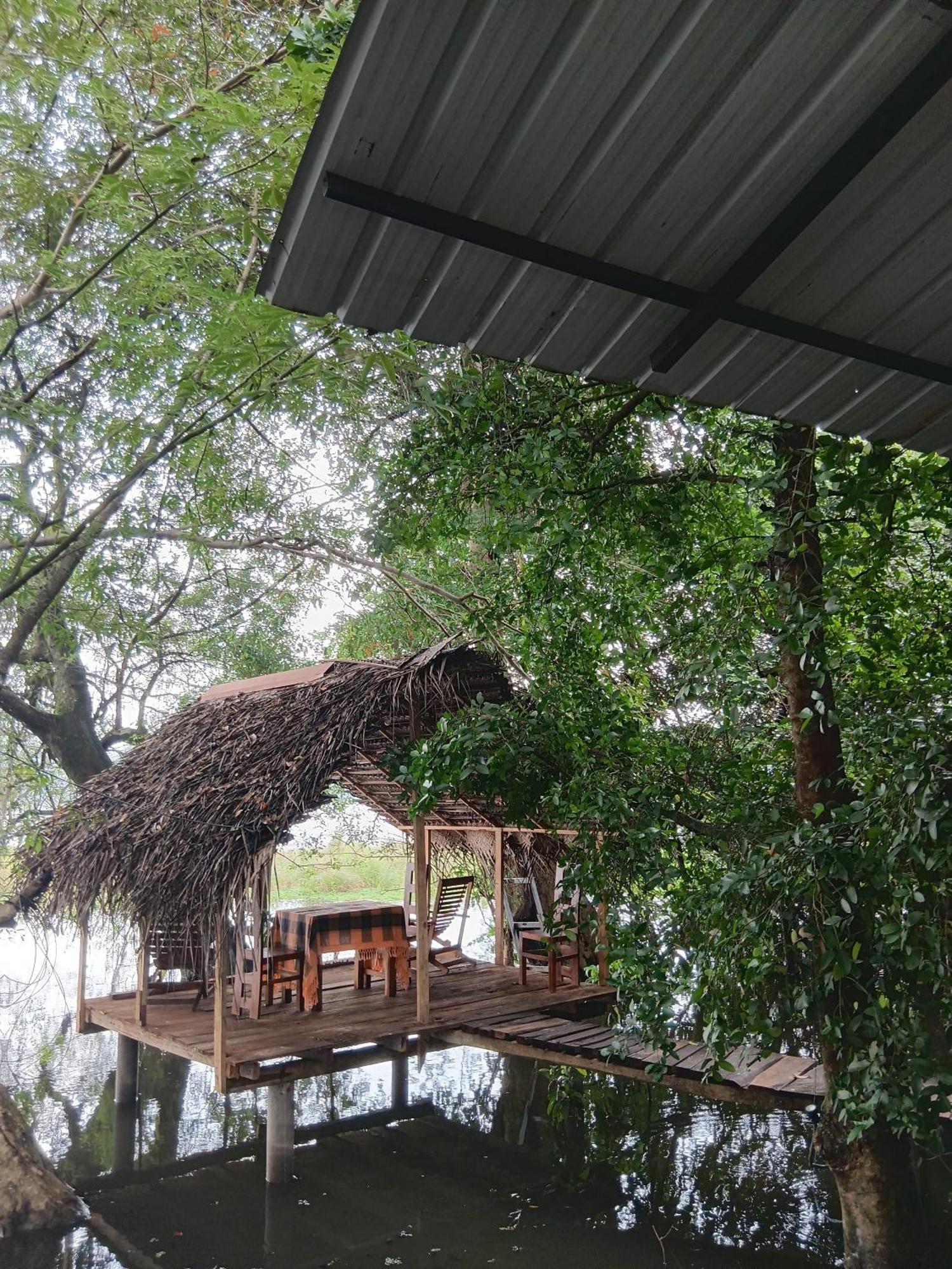 Nature Lotus Villa 丹不拉 外观 照片